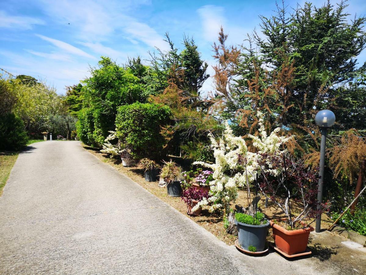 Vacanze Al Mare Appartamento In Villa Torino di Sangro Exterior photo